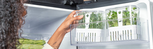 Organizadores de geladeira transaparentes com temperos dentro sendo colocados na porta da geladeira.