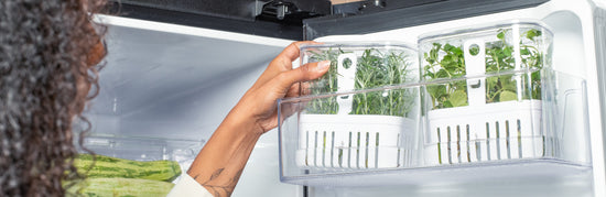 Organizadores de geladeira transaparentes com temperos dentro sendo colocados na porta da geladeira.