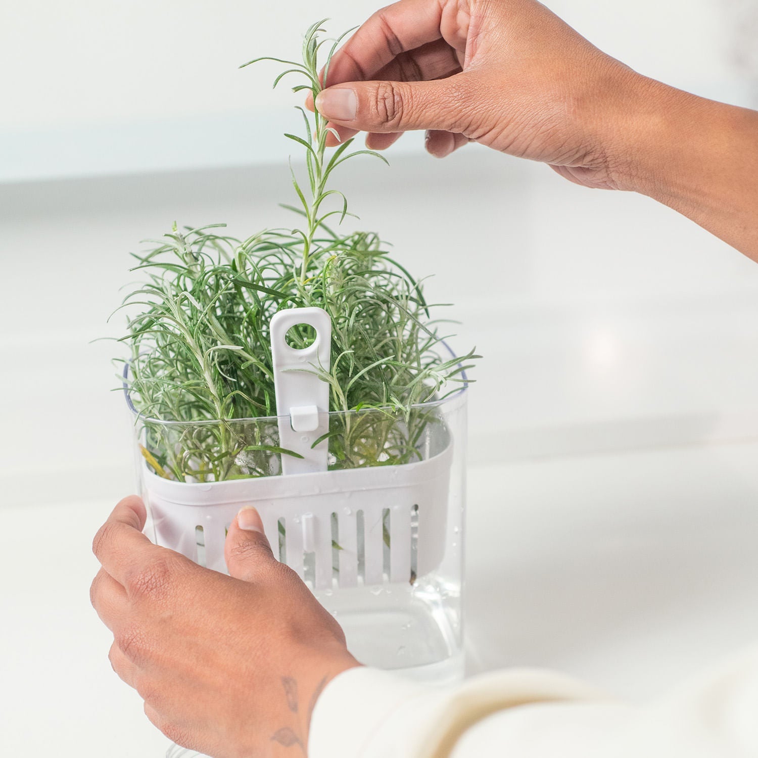 Organizador de temperos Ou com temperos sendo colocados