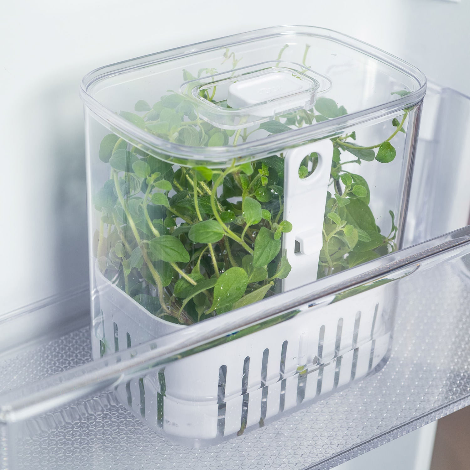 Organizador de tempero para geladeira Ou na porta da geladeira com tempero dentro