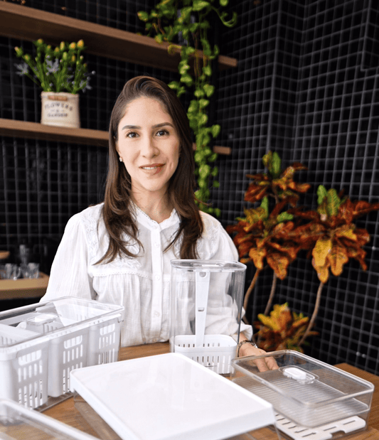 Dicas Práticas para Organizar a Geladeira