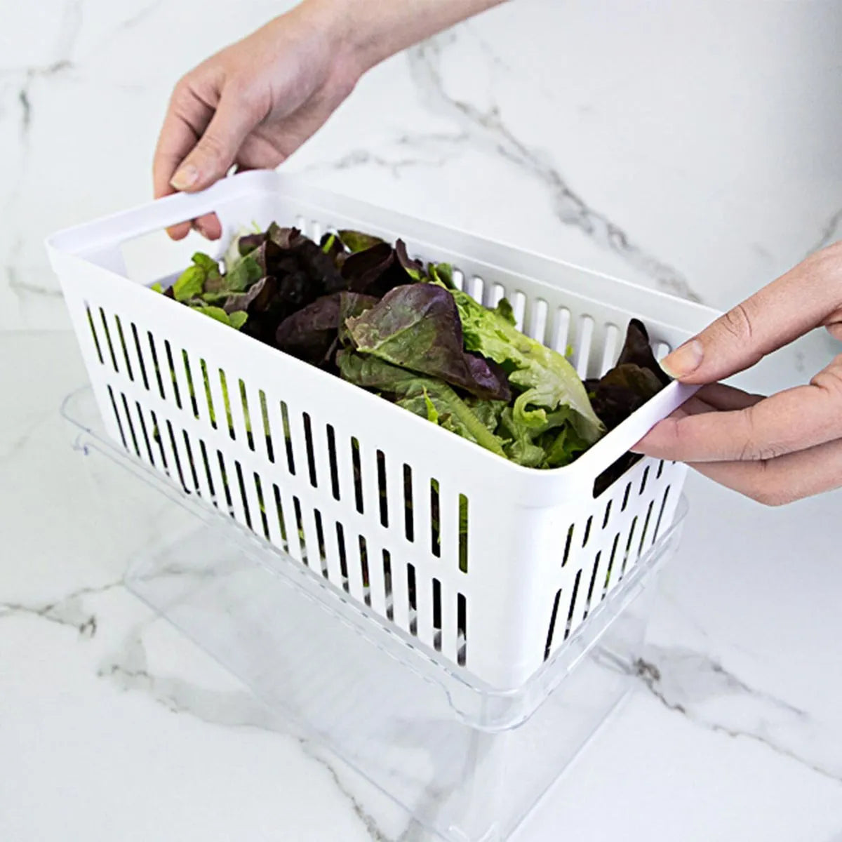 Kit de organizadores de geladeira com cesto Ou 3 peças 30x15x13 Linha Clear Fresh
