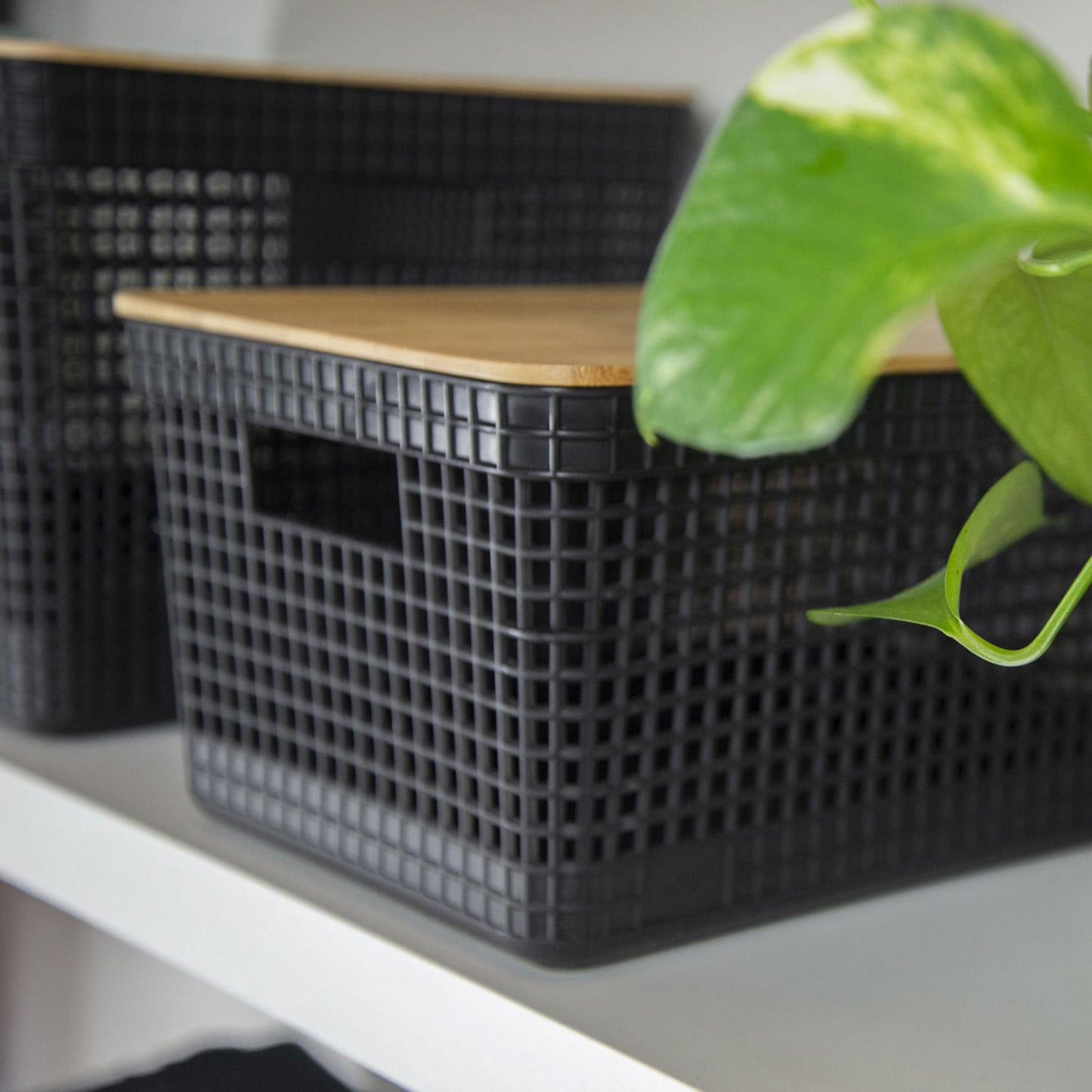 Kit de cestos organizadores com tampa de bambu Ou 3 peças Linha Grid