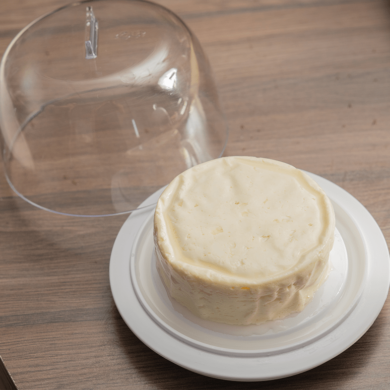 Porta queijo minas Ou Linha Break - Ou